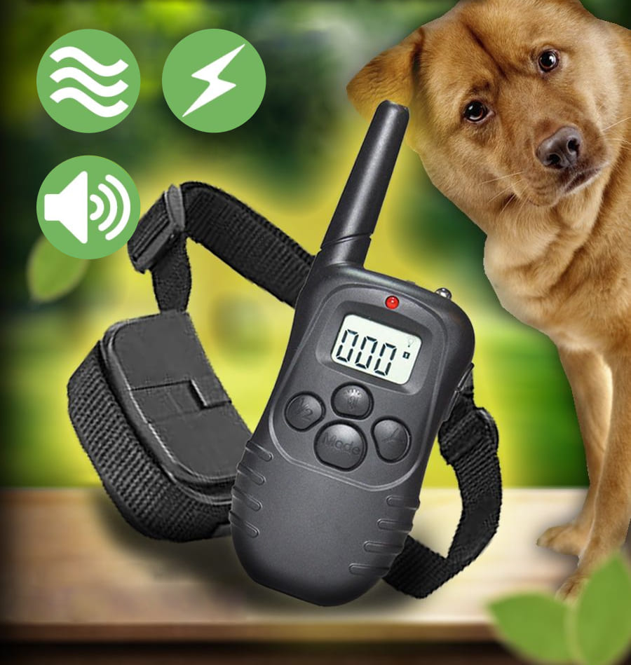 Нашийник для дресирування на пульті керування