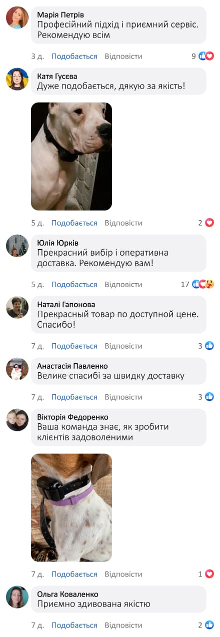 Нашийник для дресирування на пульті керування